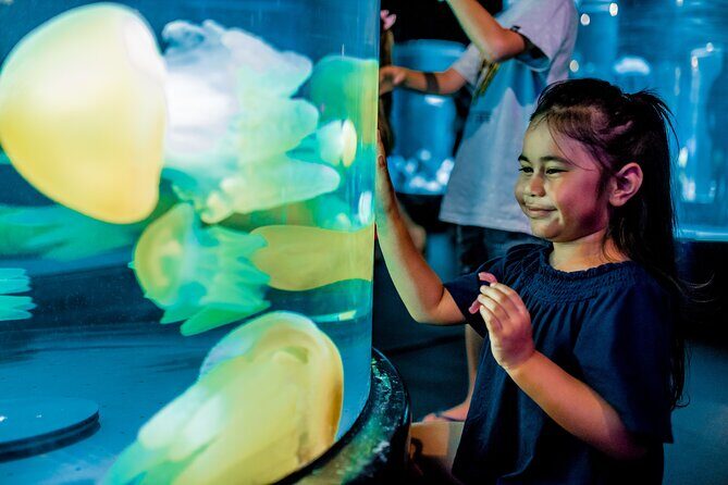 SEA LIFE Sydney Aquarium Entrance Ticket - What to Expect Inside