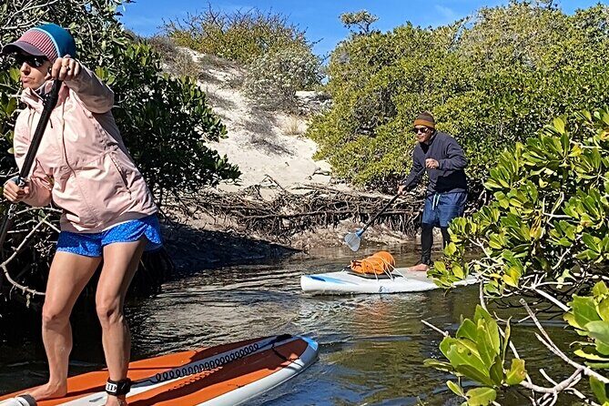 Sea Lions & Mega-Paddleboard Tour in Balandra - A Look at the Itinerary