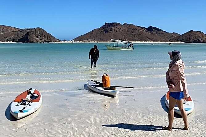 Sea Lions & Mega-Paddleboard Tour in Balandra - Practical Details