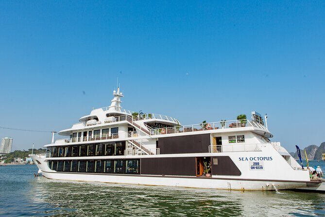 Sea Octopus Cruise - The Top Luxury Day Tour in Halong Bay - What Sets the Sea Octopus Cruise Apart?