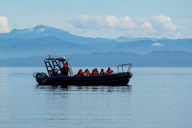 Sea Otter and Whale Watching Tour on Northern Vancouver Island - Frequently Asked Questions