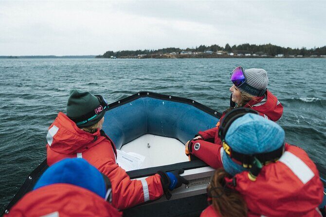 Sea Prince Rupert City and Harbour Shared Zodiac Tour - Who Will Enjoy This Tour?