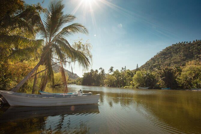 Sea Safari & Beach BBQ at secluded Pizota jungle beach - Authentic Experiences & Traveler Feedback