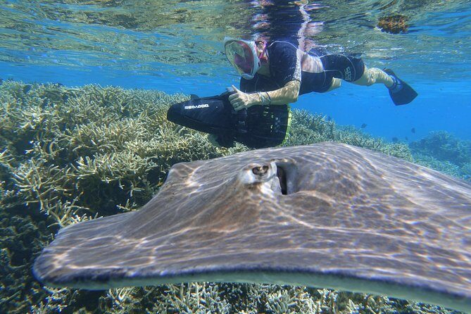 Sea Scooter Jet Snorkeling "Moorea Dream Adventure" - How the Experience Feels