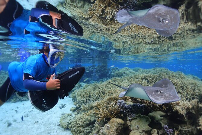 Sea Scooter Jet Snorkeling "Moorea Dream Adventure" - Value and Price Analysis