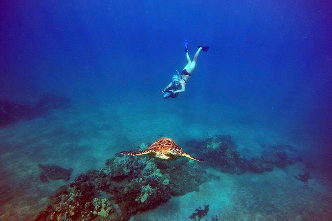 Sea Scooter Snorkeling Guided Tour - Turtle Town - An In-Depth Look at the Tour Experience