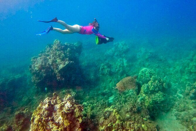 Sea Scooter Snorkeling Guided Tour - Turtle Town - Final Thoughts