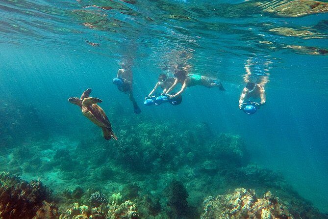 Sea Scooter Snorkeling Guided Tour - Wailea Beach - An In-Depth Look at the Maui Sea Scooter Snorkeling Tour