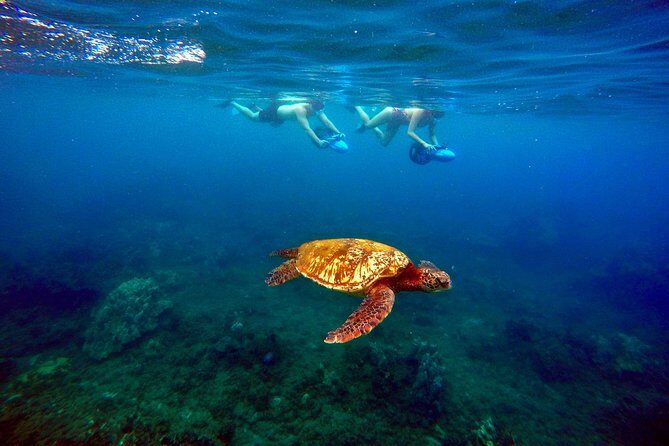 Sea Scooter Snorkeling Guided Tour - Wailea Beach - Pricing and Value
