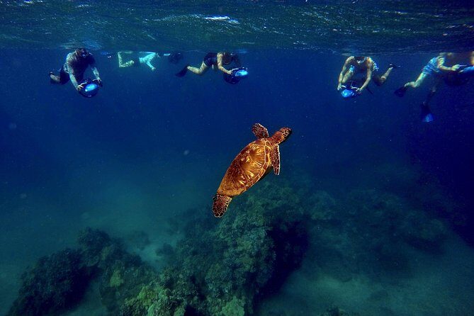 Sea Scooter Snorkeling Guided Tour - Wailea Beach - Practical Details
