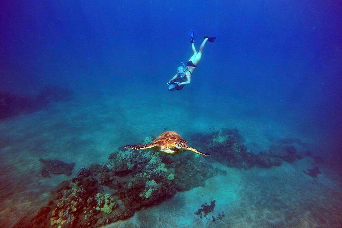 Sea Scooter Snorkeling Guided Tour - Wailea Beach - Who Should Consider This Tour?