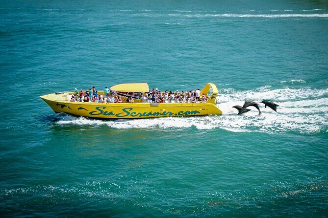 Sea Screamer Clearwater's Only Speed Boat Dolphin Watching - Who Will Love This Tour?