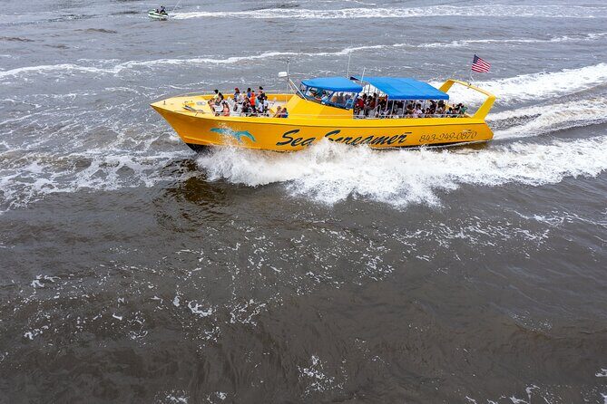 Sea Screamer Cruise - 2 Hour Dolphin Watch Tour in South Carolina - An In-Depth Look at the Experience
