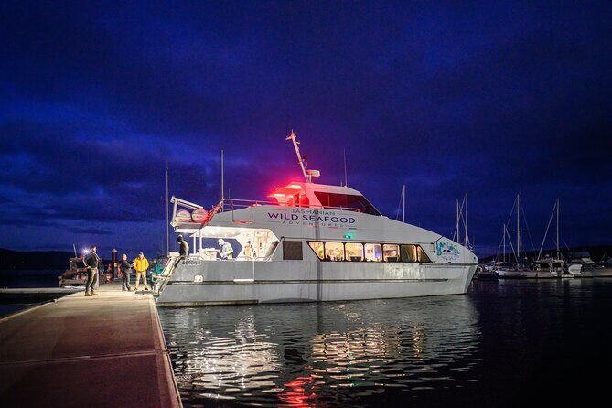 Sea to Sky Dark Sky Cruise Experience in Tasmania - Setting the Scene: The Itinerary