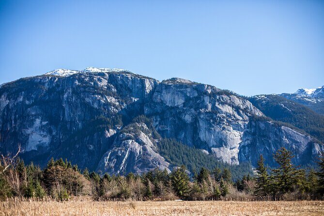 Sea to Sky Discovery Tour - Who Should Consider This Tour?