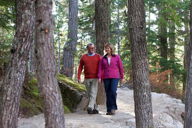 Sea to Sky Gondola Ticket - The Sum Up: Who Will Love the Sea to Sky Gondola?