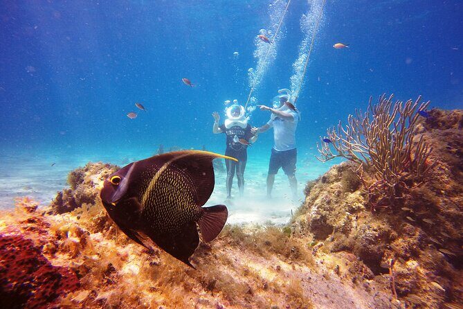Sea Trek Adventure at Chankanaab National Park - The Sum Up