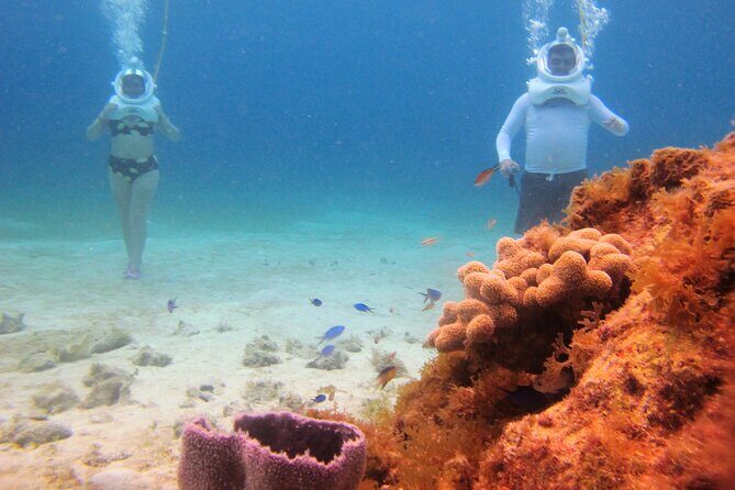Sea Trek Adventure at Chankanaab National Park - Frequently Asked Questions