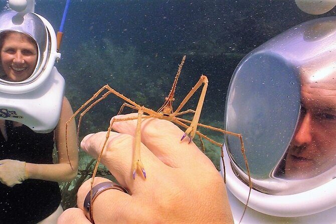 Sea Trek Helmet Dive at Coral World Ocean Park - The Experience in Detail: Step-by-Step