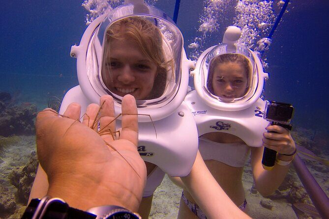 Sea Trek Helmet Dive at Coral World Ocean Park - The Sum Up: Who Should Consider This Experience?