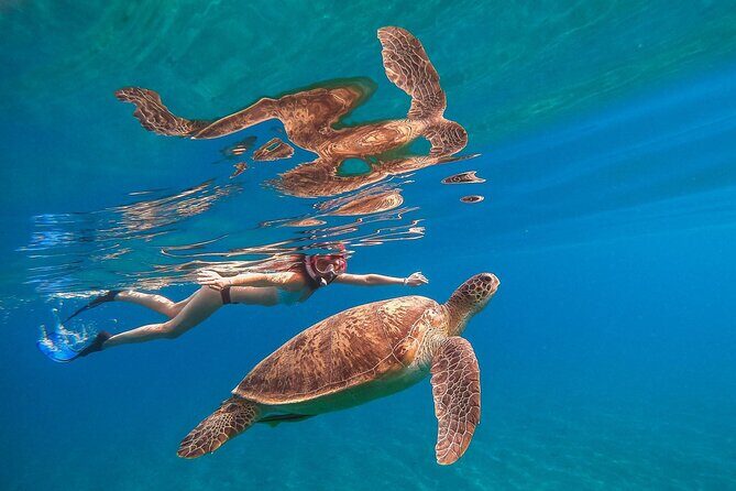 Sea Trip by Boat to Marsa Mubarak  Snorkeling in Marsa Alam - Key Points