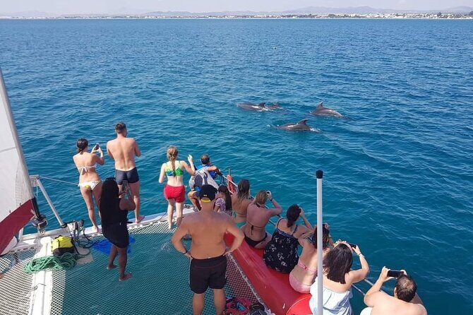 Sea Trip on Catamaran in Hammamet with Transfer - What the Trip Looks Like in Practice
