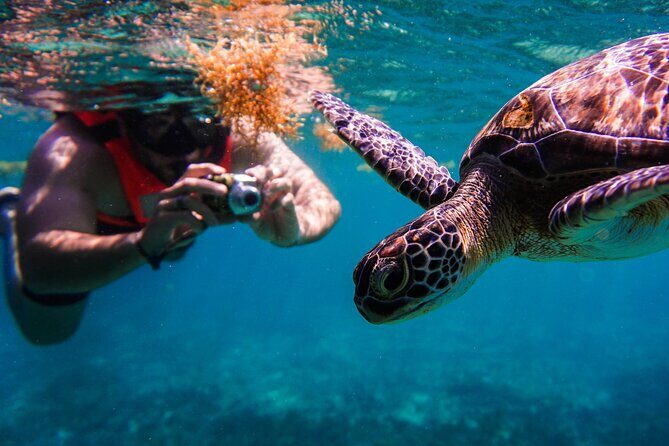 Sea turtle and cenotes half day Snorkeling Tour from Riviera Maya - Additional Stops and Considerations