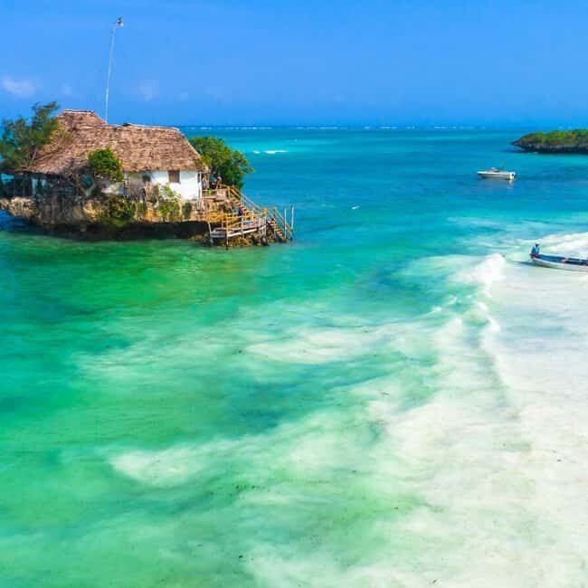 Sea turtle Sanctuary, Butterfly Center & the Rock Restaurant - A Closer Look at the Itinerary