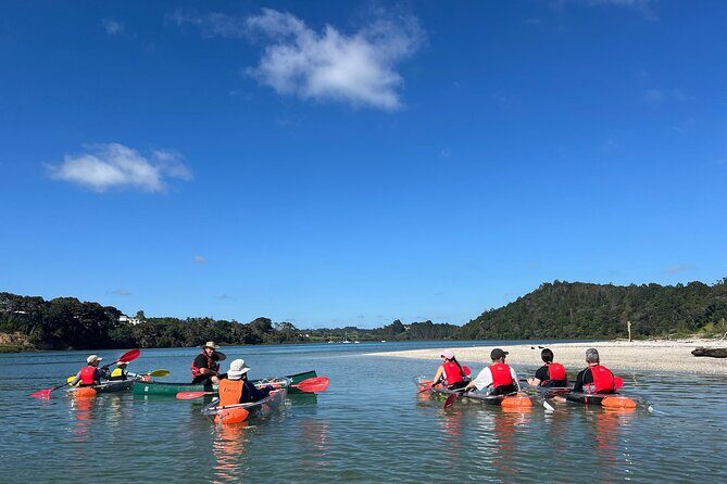 Sea Your Bottom. Clear Bottom Kayak Adventure - Who Should Book This Tour?