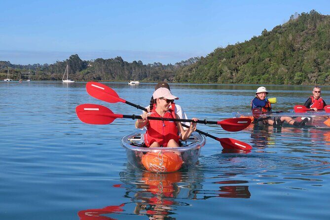 Sea Your Bottom. Clear Bottom Kayak Adventure - Final Thoughts