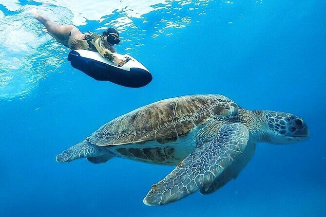 Seabob Rental in Guadeloupe - Key Points