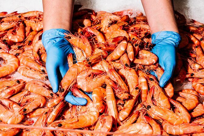Seafood Discovery Class at Sydney Seafood School - Practical Details and Considerations