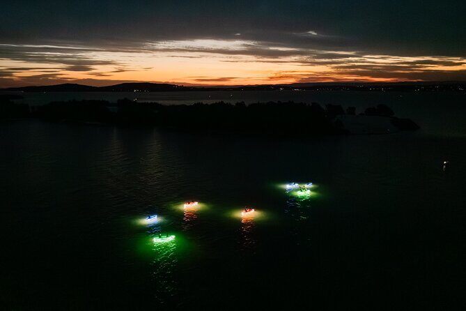 Seafood Sunset Paddle Tour on Lake Macquarie - The Island Picnic: A Gourmet Seafood Feast
