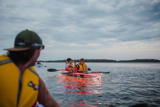 Seafood Sunset Paddle Tour on Lake Macquarie - What Real Participants Are Saying