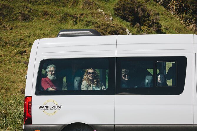 Seal Coast Safari - Exclusive access to Wellington's secret coast - An Introduction to Wellington’s Hidden Gems