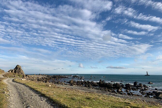 Seal Coast Safari - Exclusive access to Wellington's secret coast - Transport and Group Size