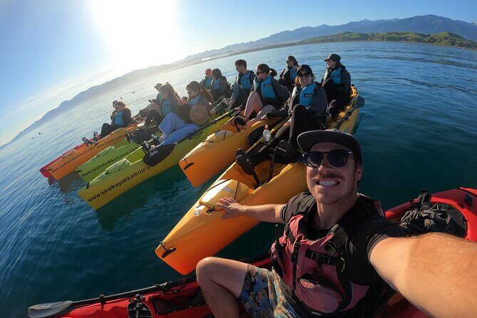 Seal Kayaking Adventure in Kaikoura - Wildlife Viewing and Scenic Highlights