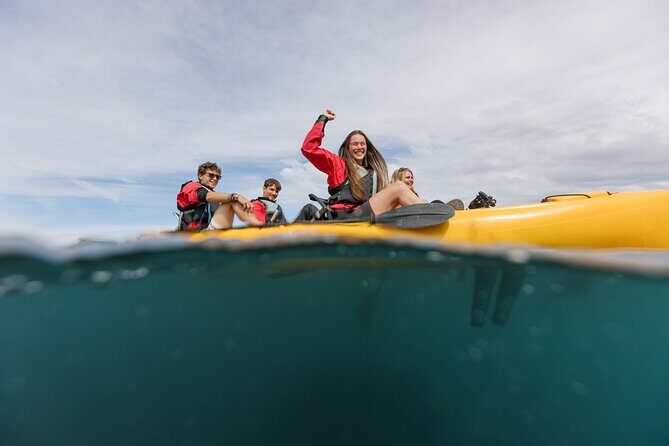 Seal Kayaking Adventure in Kaikoura - Frequently Asked Questions