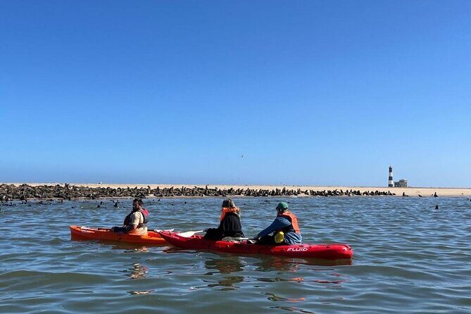 Seal Kayaking at Pelican Point from Swakopmund - Key Points