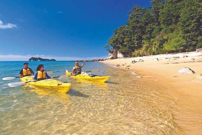 Seal Sanctuary Tour - Guided Kayaking - New Zealand - The Pros and Cons