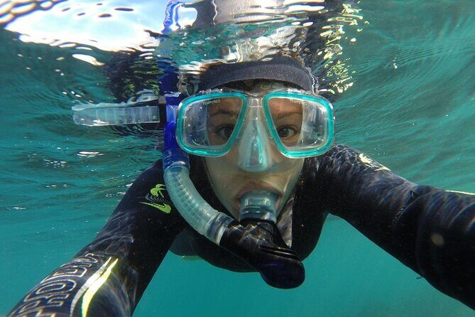 Seal Swimming Tour from Kaikoura - An Authentic, Well-Organized Marine Adventure