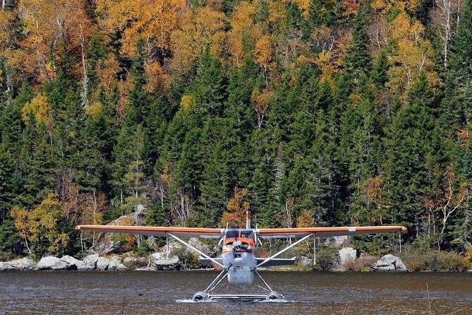Seaplane Fly & Dine Rangeley Maine - Why This Tour Is Worth It