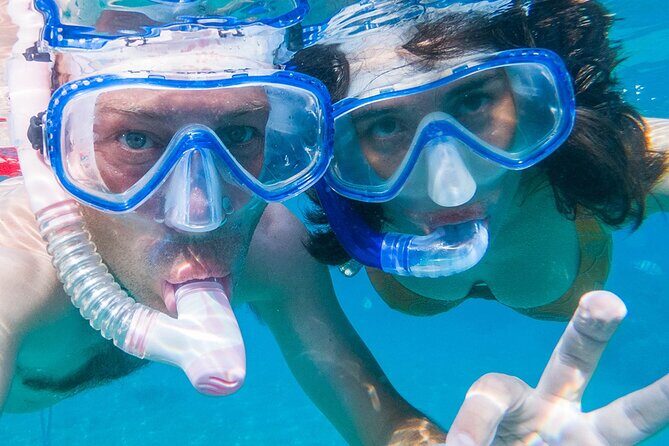 "Seas the Day!" Hop to iconic BVI islands and amazing snorkeling. - Who Is This Tour Best For?