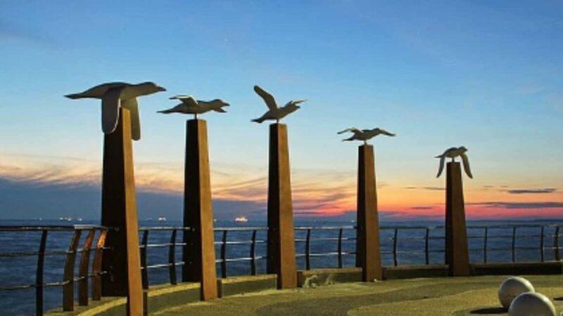 Seaside Charms & Eco Discoveries: Morib to Bagan Lalang - An In-Depth Look at the Morib to Bagan Lalang Tour