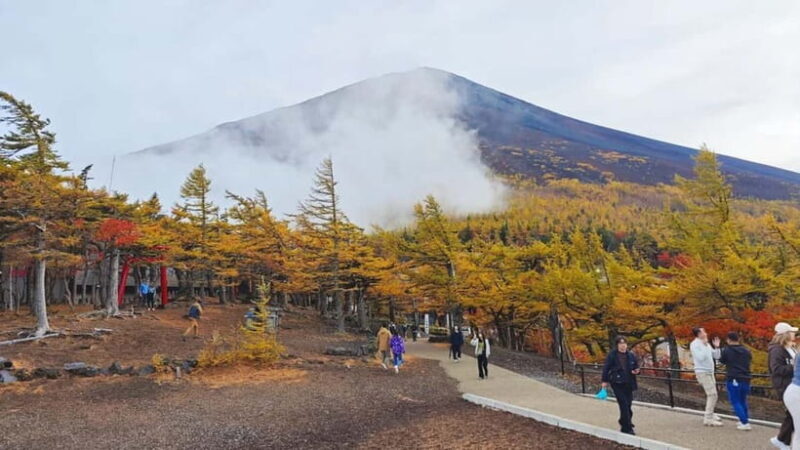 [Seasonal Limited] Mt. Fuji 5th Station &Hot Spring Day Tour - What Might Be a Drawback?