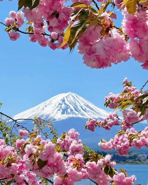 [Seasonal Limited] Mt. Fuji 5th Station &Hot Spring Day Tour - In-Depth Look at the Experience