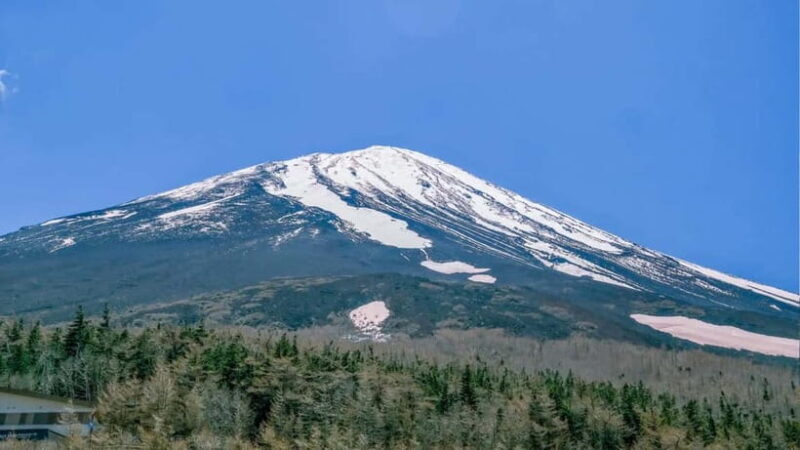 [Seasonal Limited] Mt. Fuji 5th Station &Hot Spring Day Tour - Practical Tips for Travelers