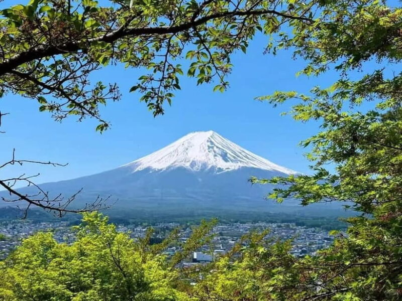 [Seasonal Limited] Mt. Fuji 5th Station &Hot Spring Day Tour - Who Is This Tour Best For?