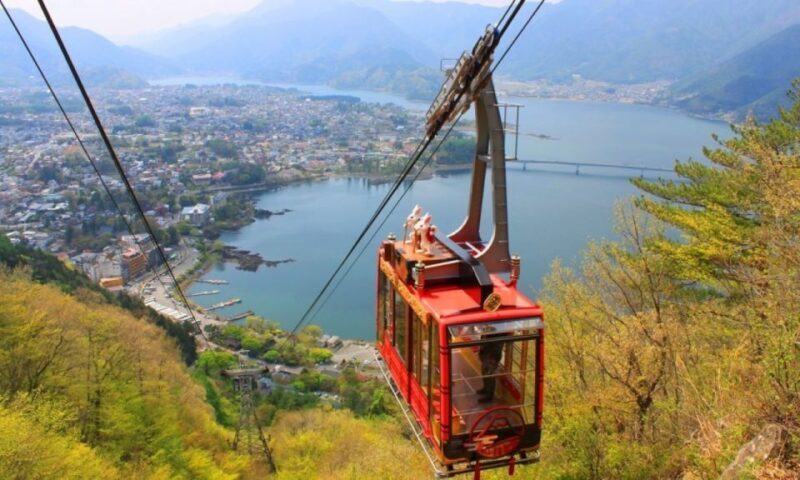 Seasonal Mt. Fuji Scenic Views, Fruit Picking and Ropeway! - Who Is This Tour Best For?
