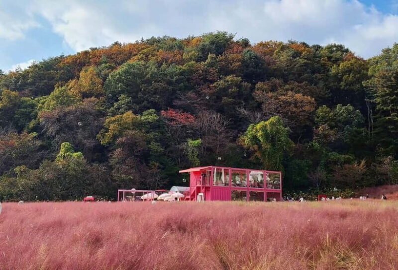 Seasonal Pocheon Full Day Tour with Apple Farm Experience - The Itinerary in Detail